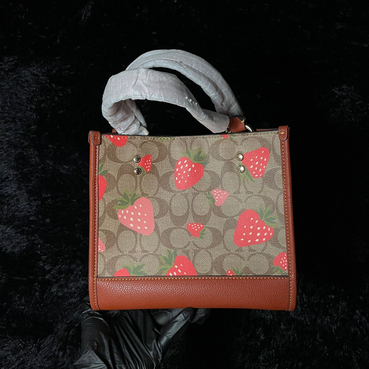 BOLSA COACH