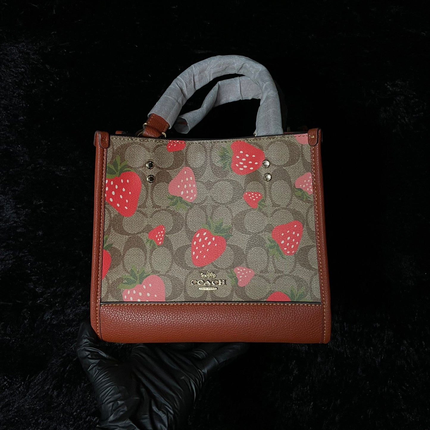 BOLSA COACH