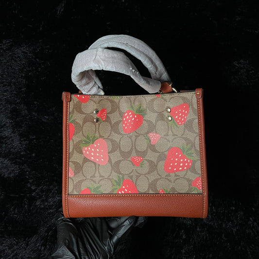 BOLSA COACH