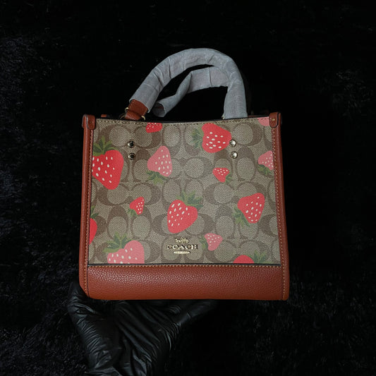 BOLSA COACH